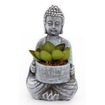 SITTING BUDDHA WITH SUCCULENT, 14CM